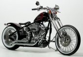2011 Covingtons Speed Demon photo